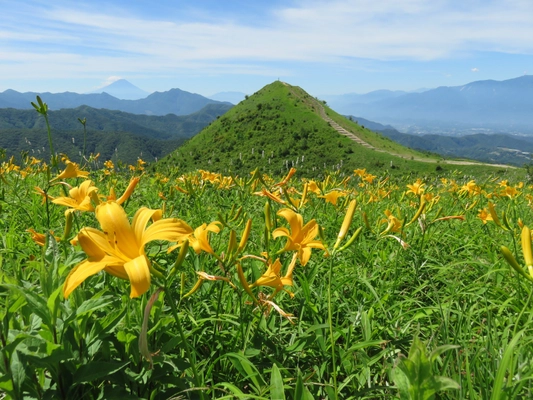 標高1,350m！東京からも気軽に行けるリゾート地　 長野県南牧村「飯盛山フラワーウィーク」のイベントを 6月20日(火)～7月10日(月)開催