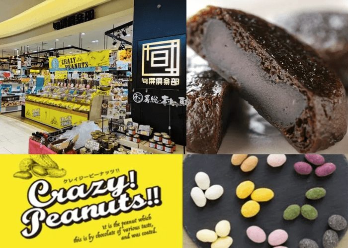 旬撰倶楽部 房総・村の駅について