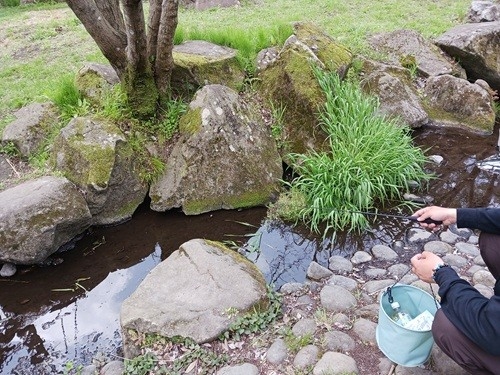 「ザリガニ釣り体験(イメージ)」
