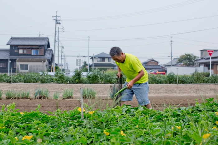 人参の甘さは土づくりから