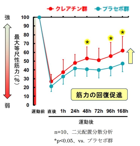 図3　運動後の筋力低下に対する クレアチンの効果