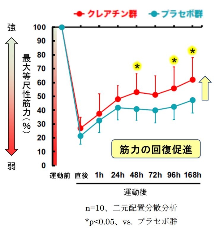図3　運動後の筋力低下に対する クレアチンの効果