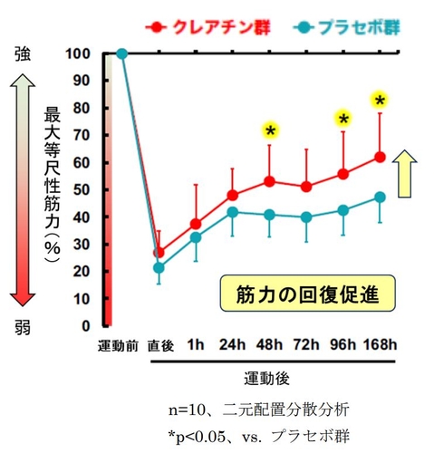 図3　運動後の筋力低下に対する クレアチンの効果