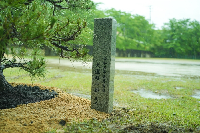 献樹した松の横にある石碑