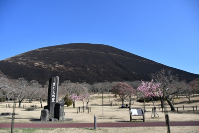 山焼き2