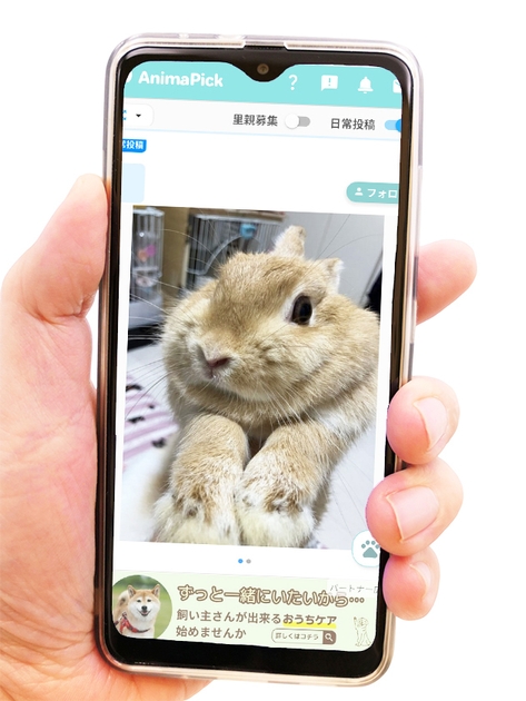 日常投稿