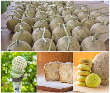 ＜茨城＞日本一のメロン産地から、今年最初のひと玉を　 道の駅常総にメロンの季節がやってきた！ 4/11よりメロンの販売を開始