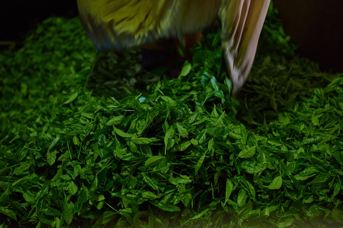 茶葉にあった火入れで