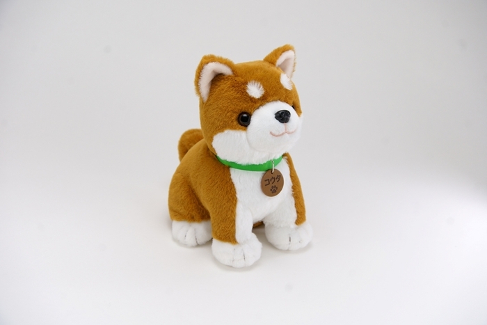 コウタ 物撮り斜め