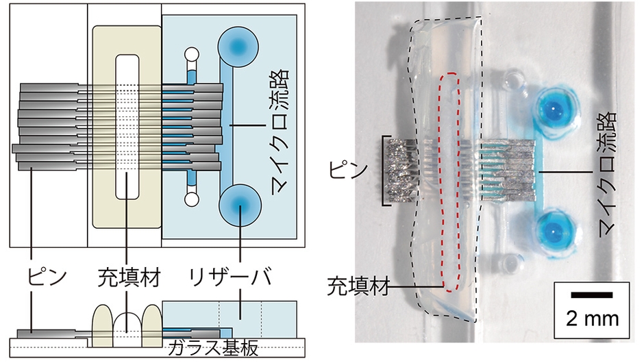 実証実験用プロトタイプマイクロ流体デバイス