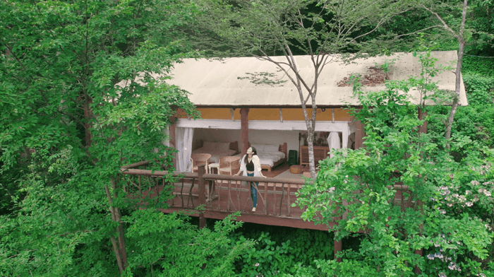 コンセプト動画サムネイル