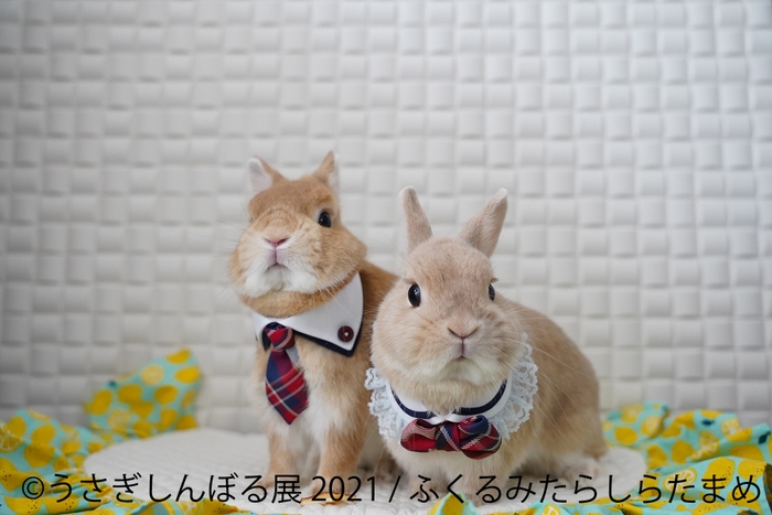 展示作品7
