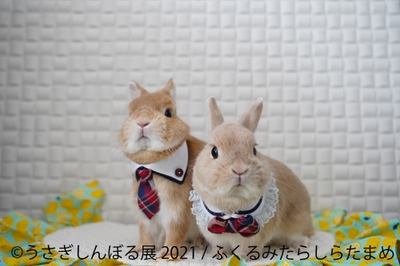 展示作品7