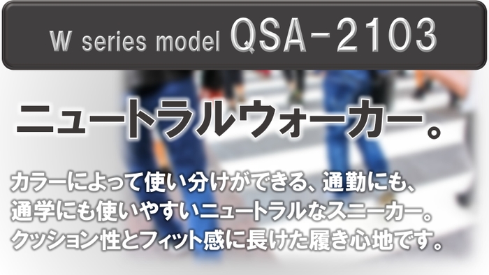 QSA-2103-1