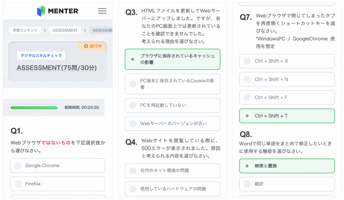 MENTER_ASSESSMENT_サンプルクイズ3式set