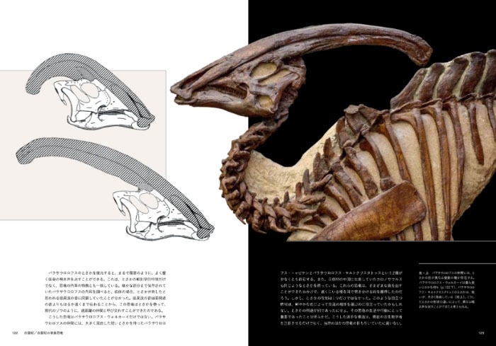 『世界一美しい恐竜図鑑』中面