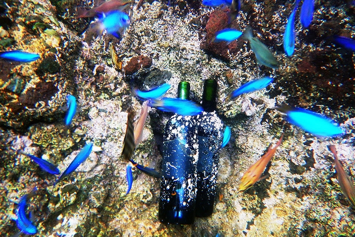 海底熟成ワイン