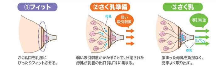 さく乳の３ステップ