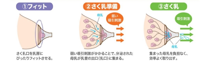 さく乳の3ステップ