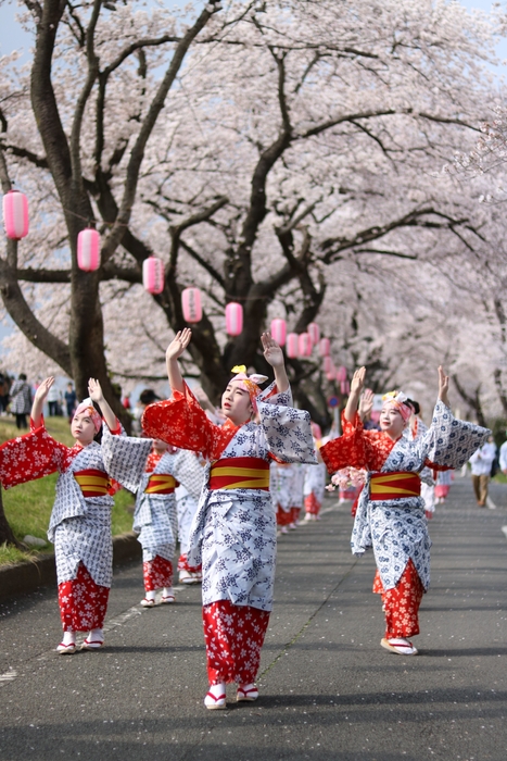 イメージ(4)_民踊パレード