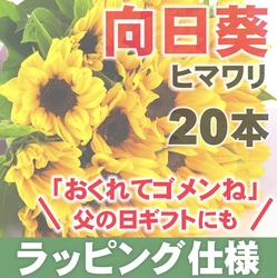 【父の日】お父さんへ少し遅くなったけど、感謝の気持ちをこめて！