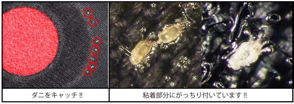 逃れられない安心設計