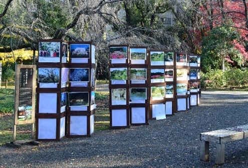 過去の展示の様子