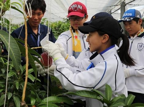 過去の体験学習の様子