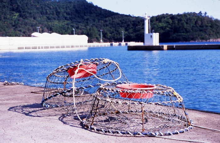 このカゴに餌を入れて、仕掛ける