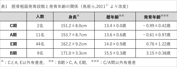 脛骨の成長と発育年齢など身長の