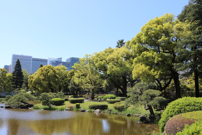 心字池と周辺の樹木（日比谷公園）