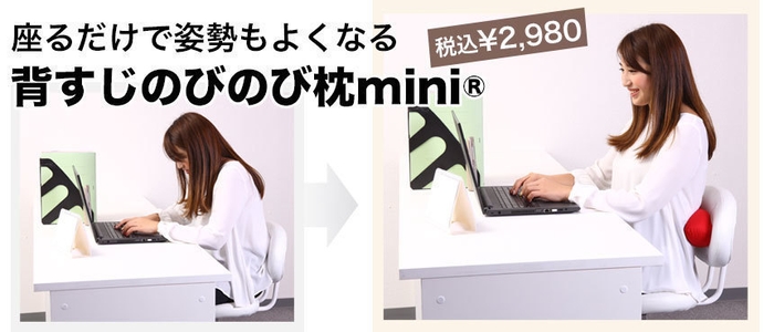 背すじのびのび枕(R)miniと座っている