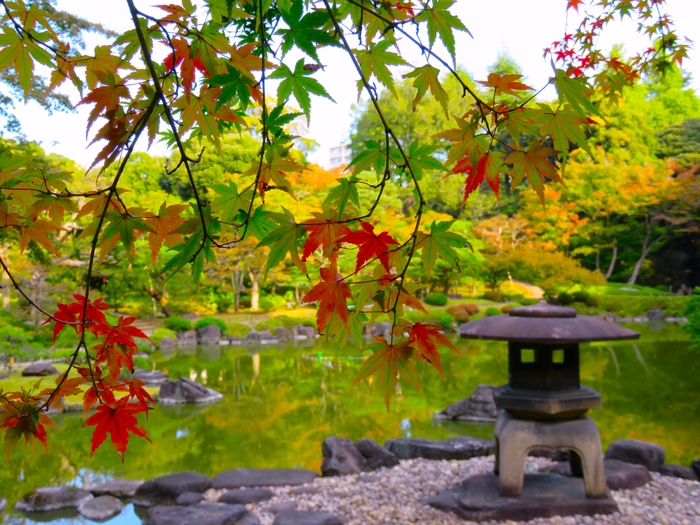 紅葉は色づき始めです