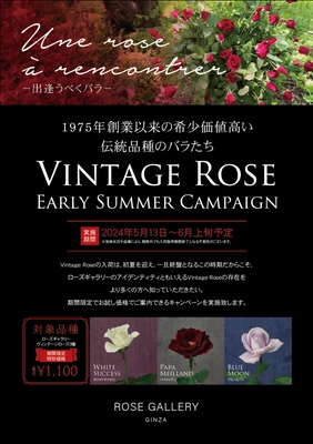 【6/2ローズの日】ローズギャラリーの歴史を語るバラ“Vintage Rose”に出逢う期間限定キャンペーン今年も開催　『Une rose à rencontre』ウネ ロザ ランコーント ～ 出逢うべくバラ～