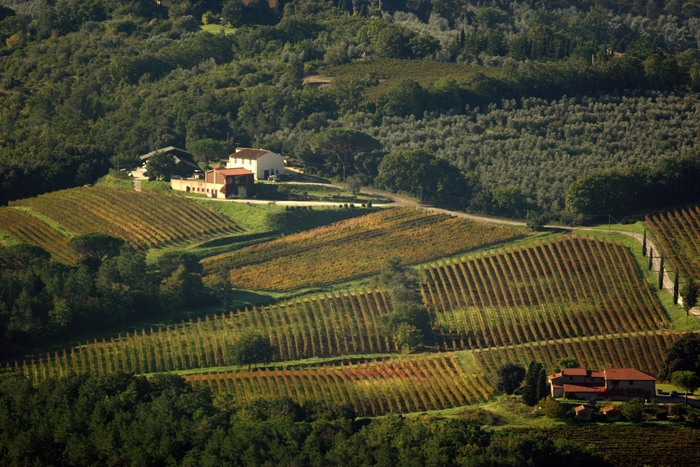 ワイナリーより