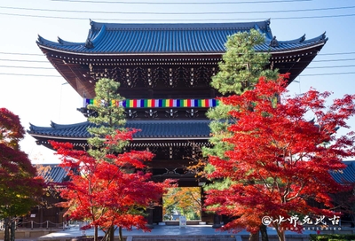 京都市内が一望できる山門楼上を特別公開