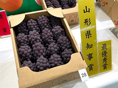 山形県産ぶどう「デラウェア」