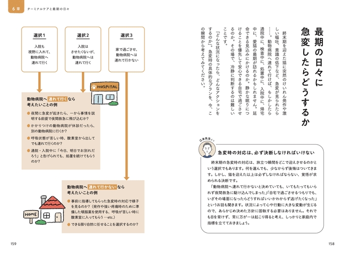 中身4