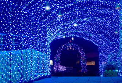 光の花トンネル ※画像は過去の様子です。