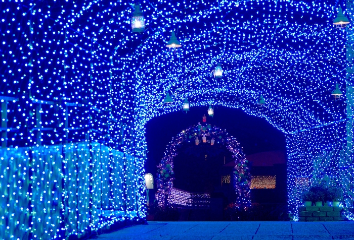 光の花トンネル ※画像は過去の様子です。