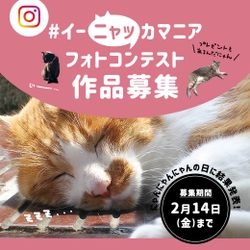 にゃんとプレゼントも！　　　　　　　　　　　　　にゃんこ愛を分かち合う#イーニャッカマニアフォトコンテスト開催