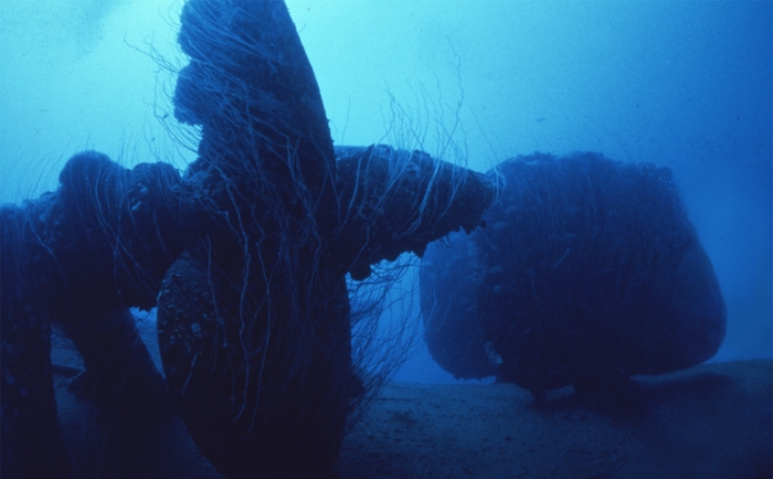 Nagato Blue - (propeller) ／2020　写真紙、アルミとアクリルマウント、161.4 x 100.0cm (C)YANAGI STUDIO