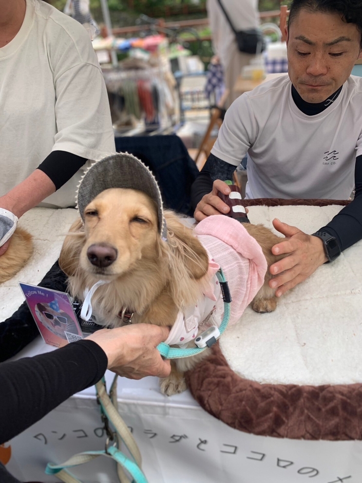 わんこのおきゅう　In関西