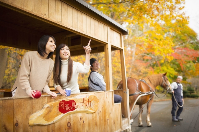 【青森屋】紅葉りんご馬車(1)