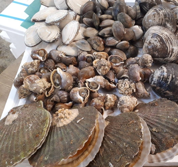 これだけ入って5,000円!