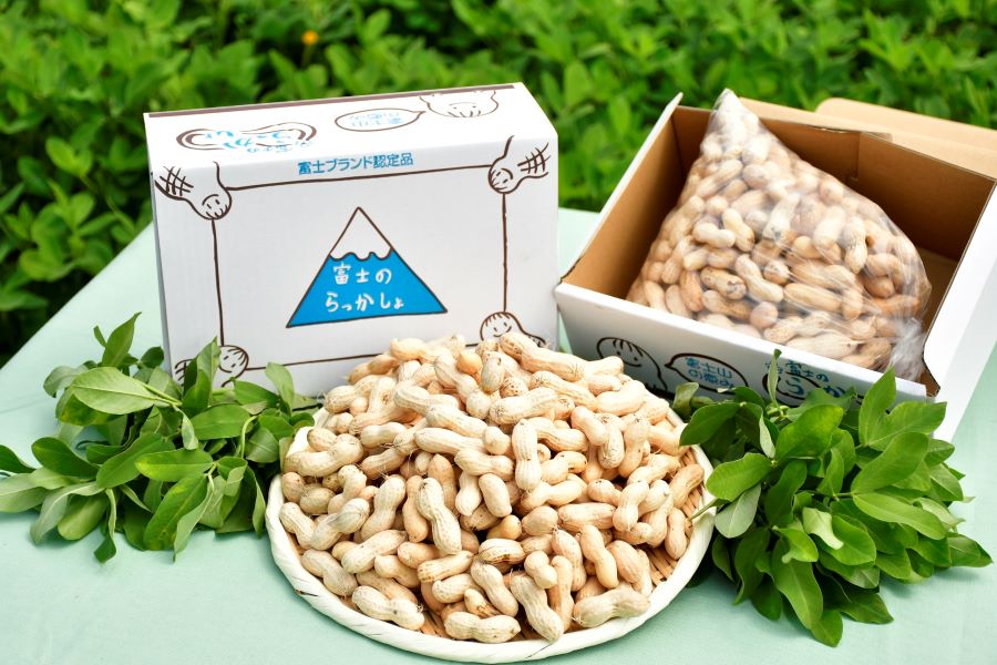 食べ始めると止まらない! 産地直送通販サイト「JAタウン」で静岡県産「富士のらっかしょ」を 販売中!