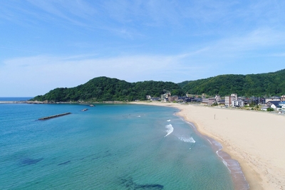 穏やかな春の海辺を散策しませんか