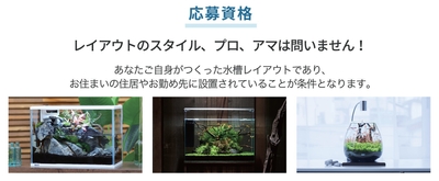応募資格