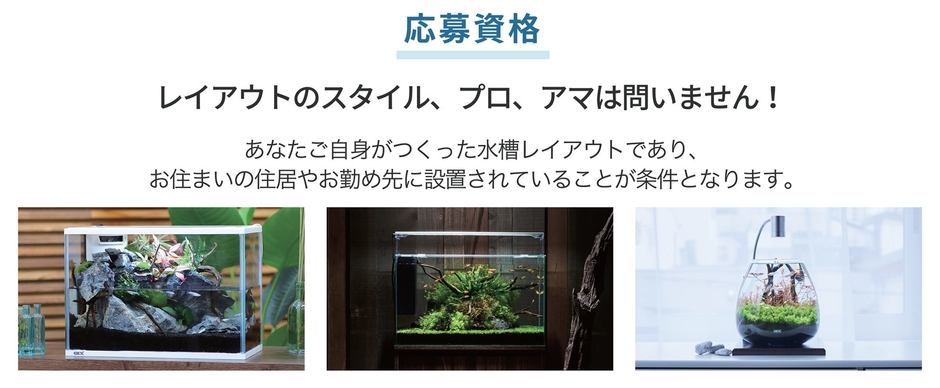 応募資格