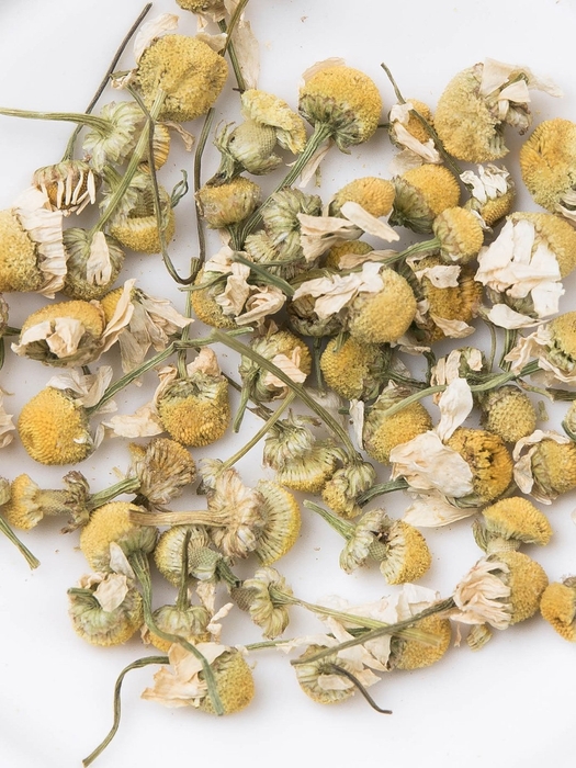 カモミールハーブ皿大